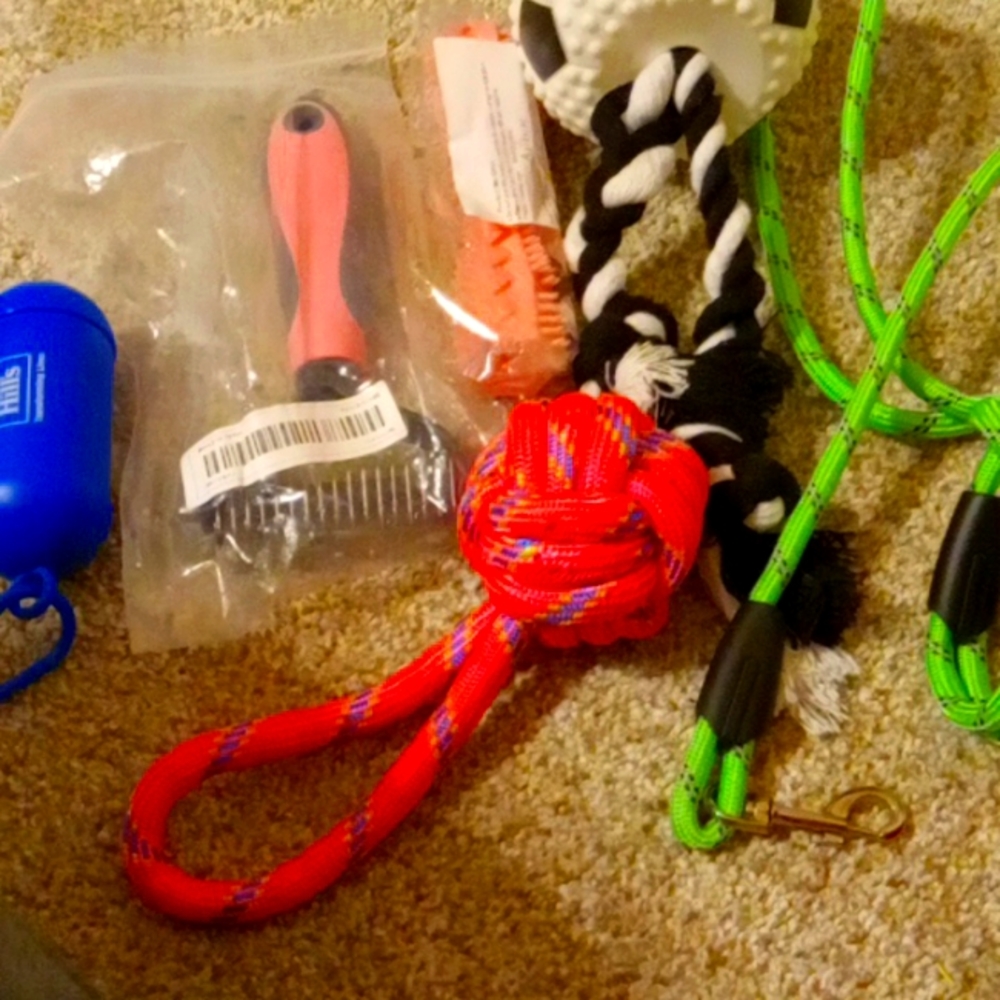 Dog assessories